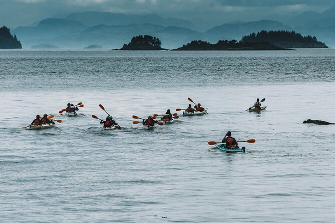 Vancouver Island: Full-Day Kayak Tour from Telegraph Cove - Key Things to Know Before You Paddle