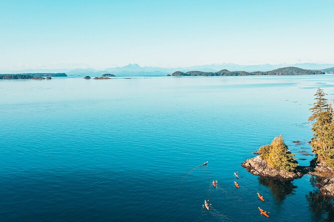 Vancouver Island: Full-Day Kayak Tour from Telegraph Cove - Paddling Along Johnstone Strait
