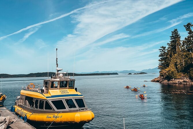 Vancouver Island: Full-Day Kayak Tour from Telegraph Cove - Equipment, Fitness, and Comfort