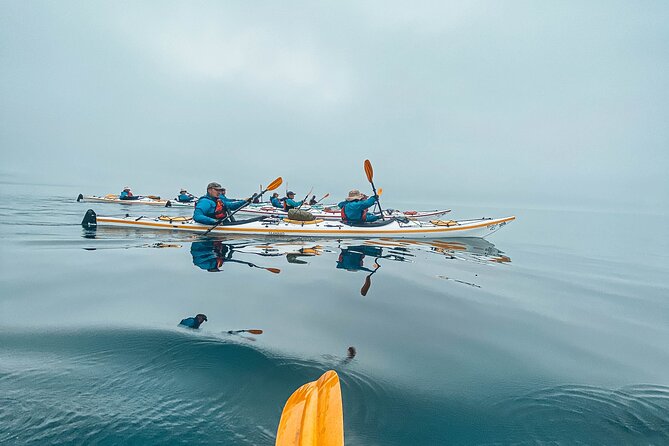 Vancouver Island: Half-Day Kayak Tour from Telegraph Cove - Starting at Telegraph Cove on Johnstone Strait