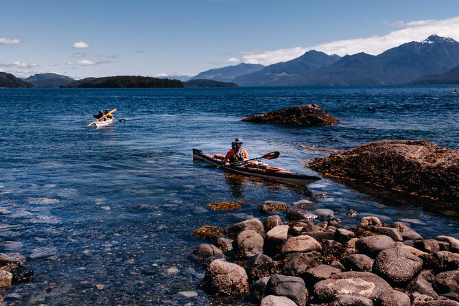 Vancouver Island: Half-Day Kayak Tour from Telegraph Cove - Wildlife sightings, from eagles to whales