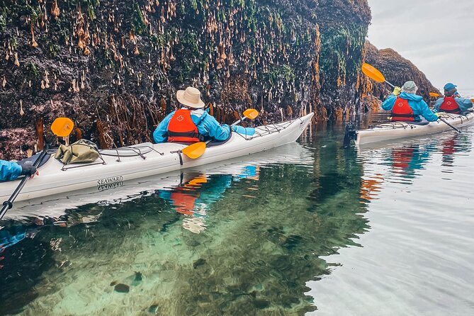 Vancouver Island: Half-Day Kayak Tour from Telegraph Cove - Is $128.87 a fair price?