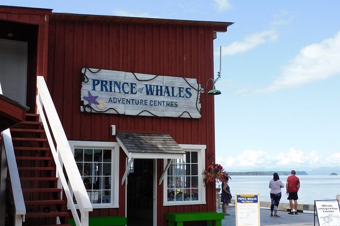 Vancouver Island Half-Day Whale Watching Tour - Telegraph Cove - What the three hours feel like
