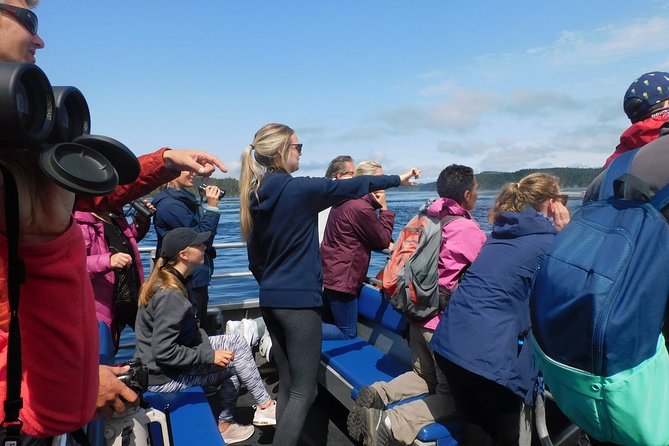 Vancouver Island Half-Day Whale Watching Tour - Telegraph Cove - The important risk: wildlife and weather are unpredictable