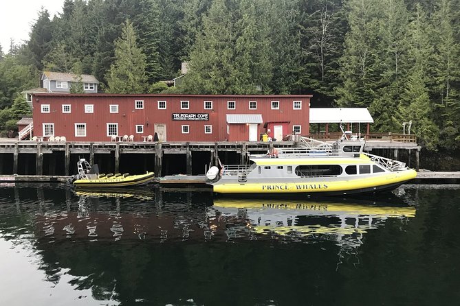 Vancouver Island Half-Day Whale Watching Tour - Telegraph Cove - Who will enjoy this Telegraph Cove outing?