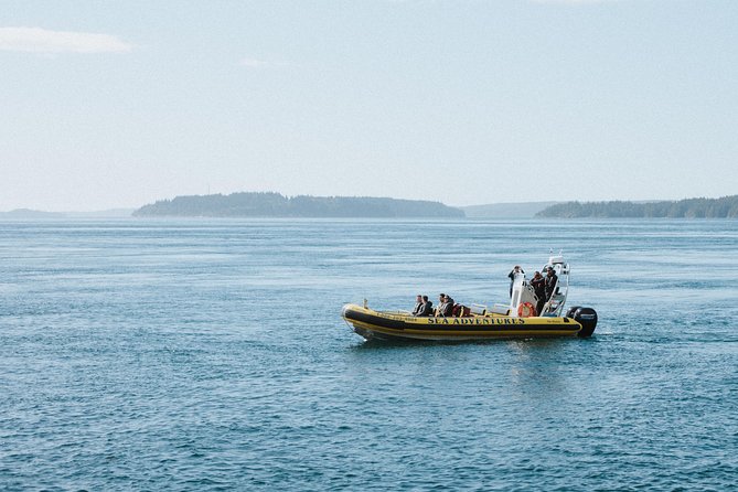 Vancouver Island Zodiac Whale Watching Adventure - Telegraph Cove - Why Telegraph Cove is a strong starting point