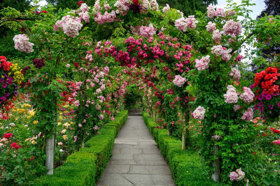 Vancouver: Islands Cruise, Butchart Gardens, & Victoria Tour - Why this day trip works