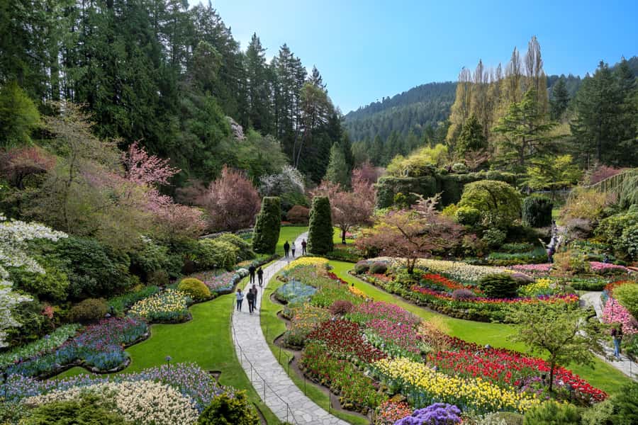 Vancouver: Islands Cruise, Butchart Gardens, & Victoria Tour - The BC Ferries cruise through the Gulf Islands