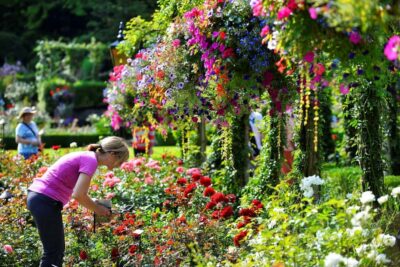 Islands Cruise, Butchart Gardens, & Victoria Tour