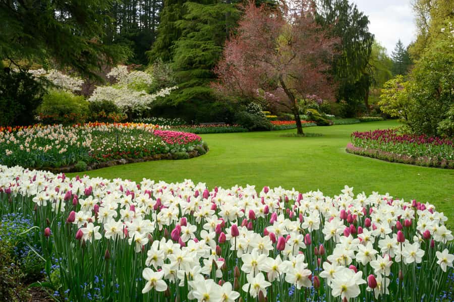 Vancouver: Islands Cruise, Butchart Gardens, & Victoria Tour - Victoria’s Inner Harbour and free time