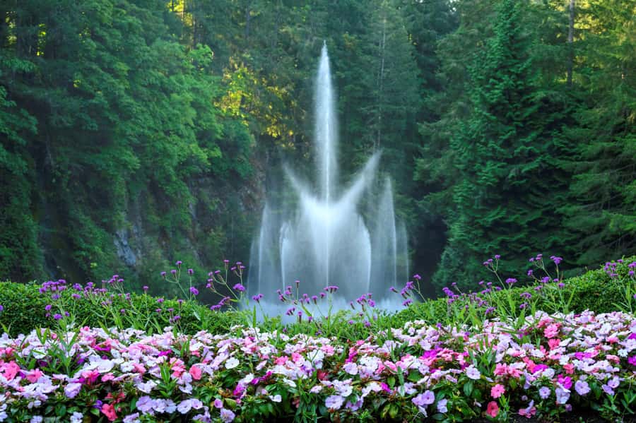 Vancouver: Islands Cruise, Butchart Gardens, & Victoria Tour - The return journey to Vancouver