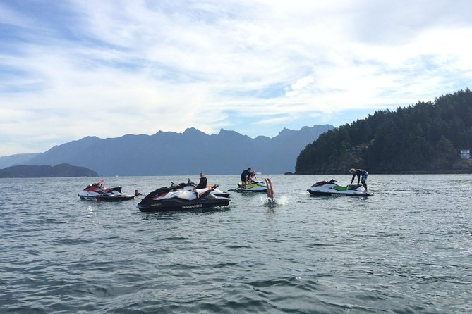 Vancouver Jet Ski Rental from Granville Island - Wildlife at Pam Rocks