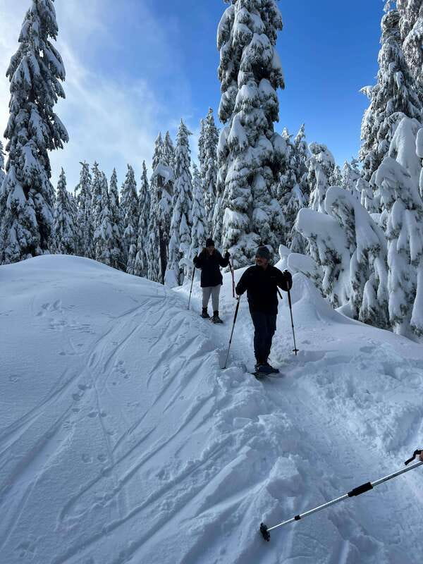 Vancouver: North Shore Mountains Snowshoeing with Transfer - Key points at a glance