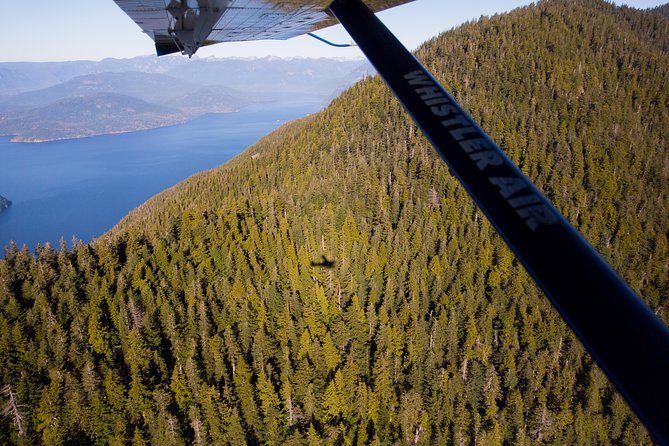 Vancouver Panorama Scenic Seaplane Tour - Downtown Vancouver and Stanley Park From Above
