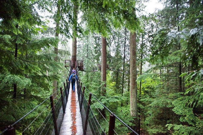 Vancouver Premium Tour: Capilano Bridge + Grouse Mountain Lunch - Vancouver Lookout: finishing above the city