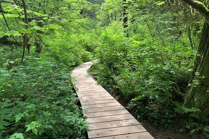 Vancouver Rainforest Hike with Waterfalls, Suspension Bridge, Old Growth Forest - Why Lynn Canyon makes a smart half-day escape
