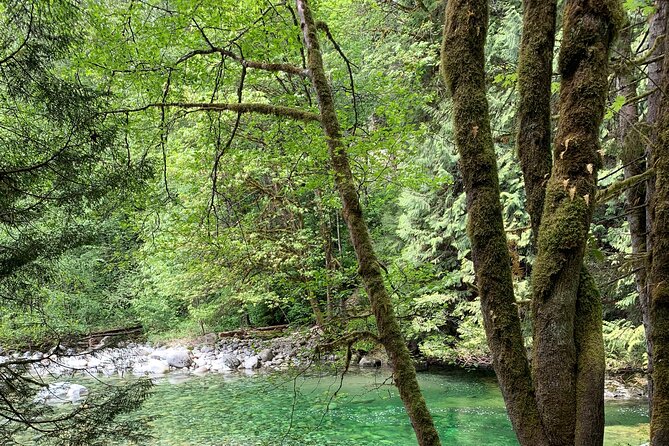 Vancouver Rainforest Hike with Waterfalls, Suspension Bridge, Old Growth Forest - Adrian’s guiding style and the small-group advantage