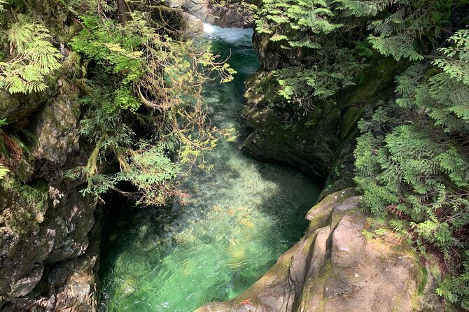 Vancouver Rainforest Hike with Waterfalls, Suspension Bridge, Old Growth Forest - The Lions Gate Bridge ride adds useful context