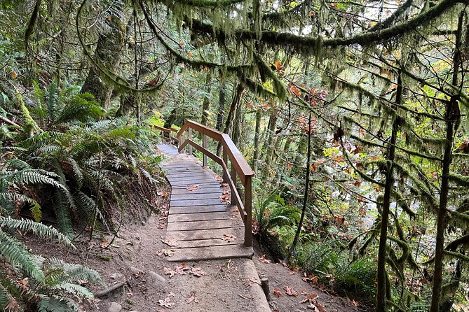 Vancouver Rainforest Hike with Waterfalls, Suspension Bridge, Old Growth Forest - Price, timing, and what you receive