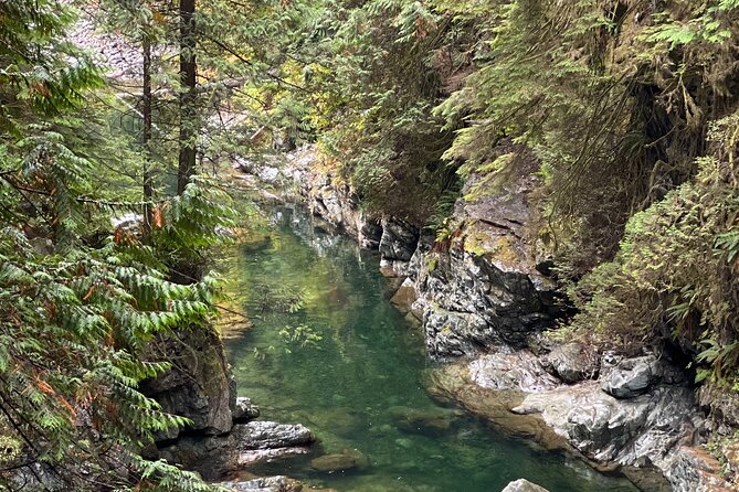 Vancouver Rainforest Hike with Waterfalls, Suspension Bridge, Old Growth Forest - Fitness, stairs, and weather advice