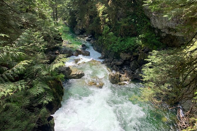 Vancouver Rainforest Hike with Waterfalls, Suspension Bridge, Old Growth Forest - Twin Falls and the creekside trail
