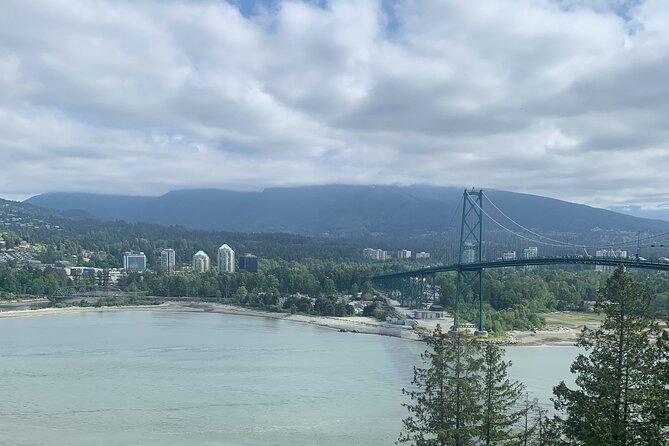 Vancouver's Finest Private Sightseeing Tour - Grouse Mountain: views and seasonal attractions