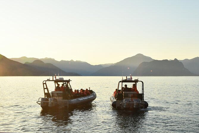 Vancouver's Intimate West Coast Whale Watching Experience - What the boats are really like