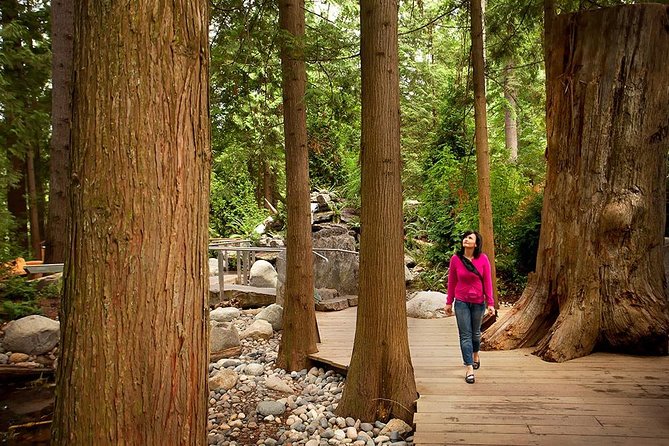 Vancouver Sightseeing and Suspension Bridge Small Group Tour - What this five-hour Vancouver tour actually gives you