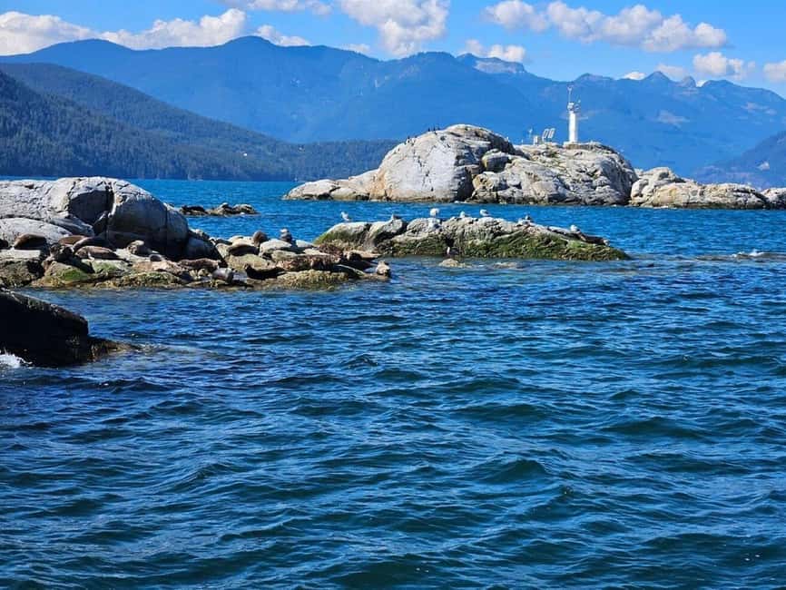 Vancouver: Snorkel, Kayak, and Seal Adventure Boat Tour - Quick take: what makes this seal tour special
