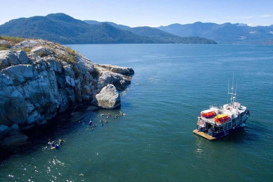 Vancouver: Snorkel, Kayak, and Seal Adventure Boat Tour - Weather, fitness, and family details
