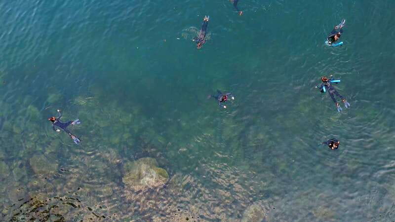 Vancouver: Snorkeling Seals Kayaking Scenic Boat Tour - Who should book this adventure?