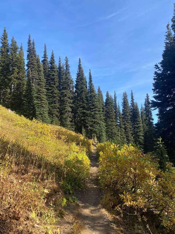 Vancouver/Squamish: Garibaldi Park Panorama Ridge Hike - Why Panorama Ridge makes a demanding day worthwhile