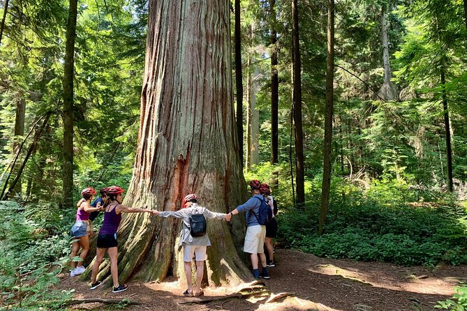 Vancouver Stanley Park 3 Hour Bike Tour - Why a bike is a smart way to see Stanley Park