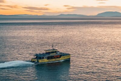 Vancouver Sunset Whale Watching Adventure with Free Photos