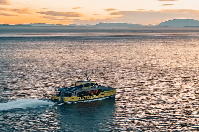 Vancouver Sunset Whale Watching Adventure with Free Photos - What the five-hour plan really means