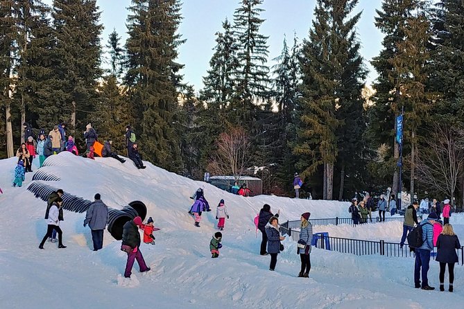 Vancouver to Whistler Private Tour - Price, group size, and the value question