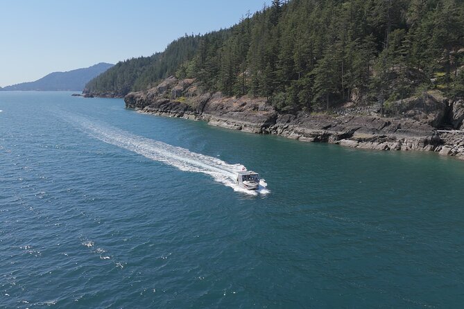 Vancouver UNESCO Biosphere Reserve Wildlife Scenic Boat Tour - Howe Sound, a fjord with a powerful setting
