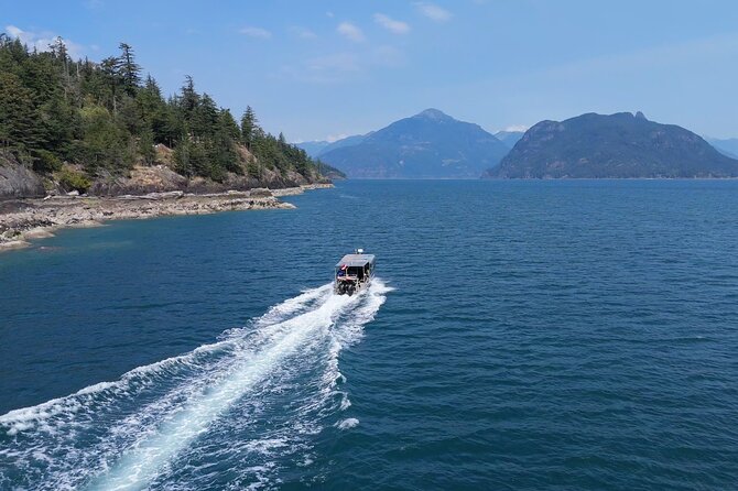 Vancouver UNESCO Biosphere Reserve Wildlife Scenic Boat Tour - What the two-hour itinerary feels like