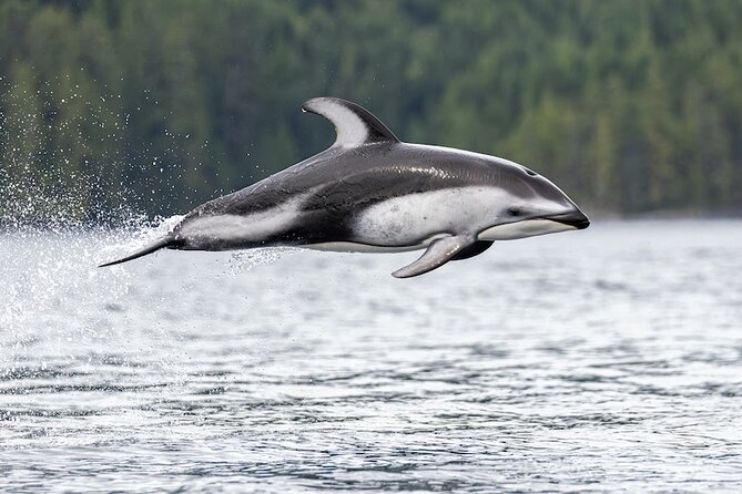 Vancouver UNESCO Biosphere Reserve Wildlife Scenic Boat Tour - Booking, weather, and cancellation details