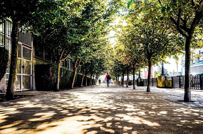 Vancouver Walking Tour: Explore Top Sights & Hidden Gems - Pace, comfort, and practical details