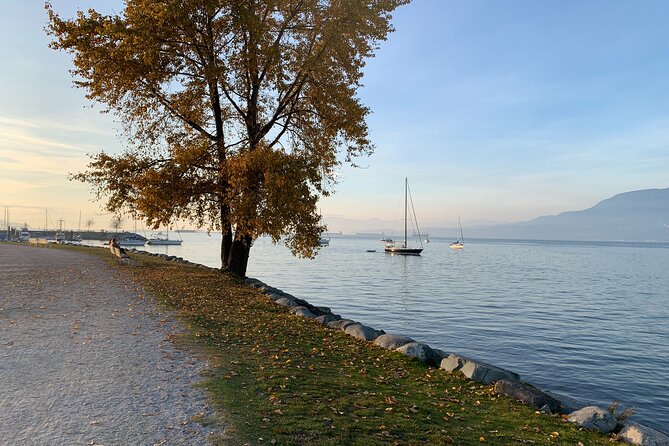 Vancouver Waterfront Guided Bike / Ebike Tour - Stanley Park: The Main Scenic Payoff