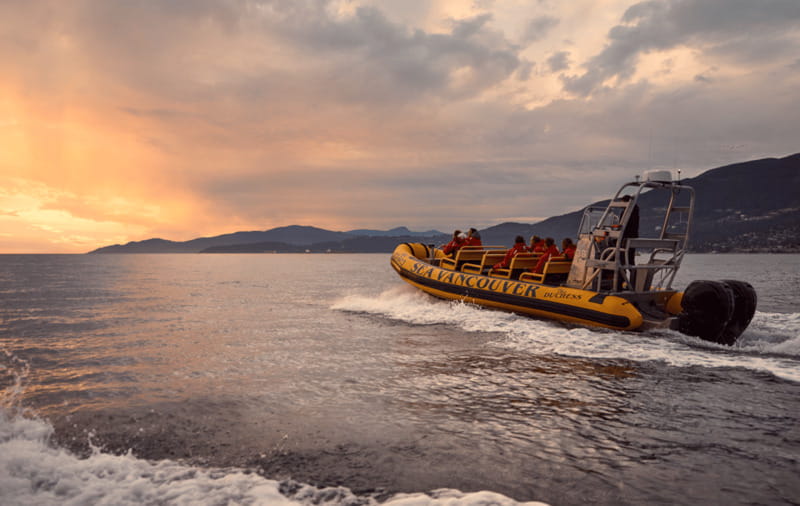 Vancouver: Waterfront Sightseeing Tour - City and Harbour - Siwash Rock and Stanley Park’s shoreline