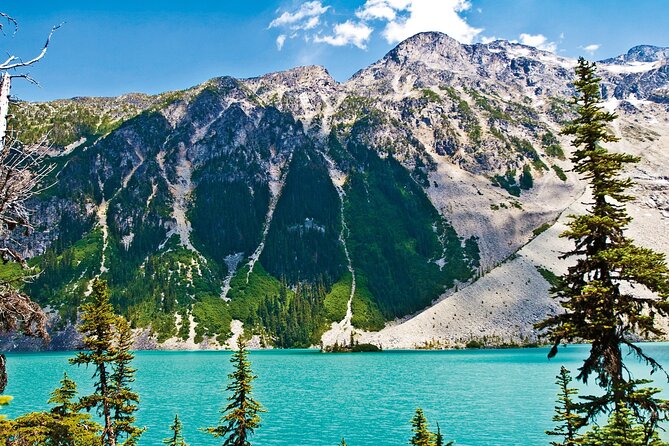 Vancouver: Whistler, Shannon Falls, Peak to Peak Gondola Day Tour - Is $95 a Good Value?
