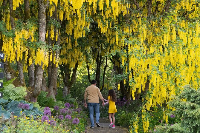 VanDusen Botanical Garden Admission Ticket - A garden shaped by art and architecture
