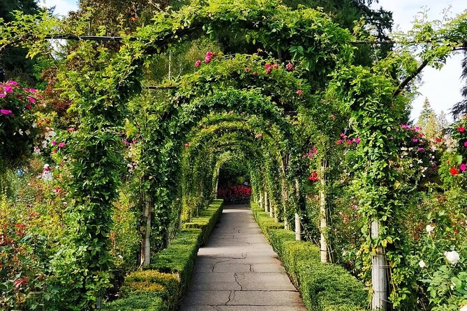 Victoria 1-Day Tour From Vancouver (Butchart Gardens) (Chn&Eng) - The morning departure and the road to Tsawwassen