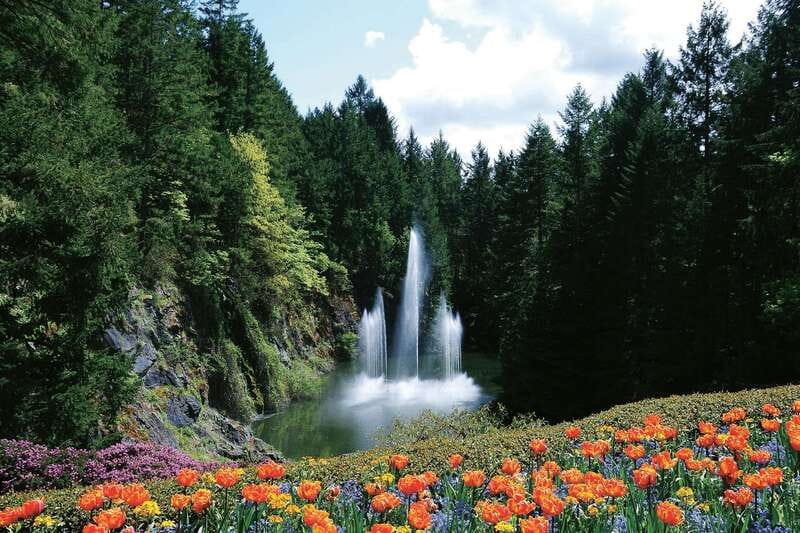 Victoria: City Highlights and Butchart Gardens Tour - Beacon Hill Park and the first look at Victoria