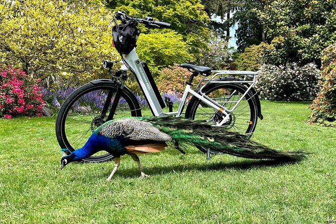 Victoria City Highlights E-Bike Tour - Hoods & Legends - What the pace feels like over two and a half hours