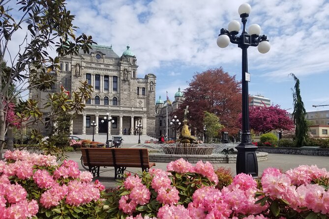 Victoria City Highlights Pedal or E-Bike Tour - Hoods & Legends - Fernwood adds a local neighborhood feel