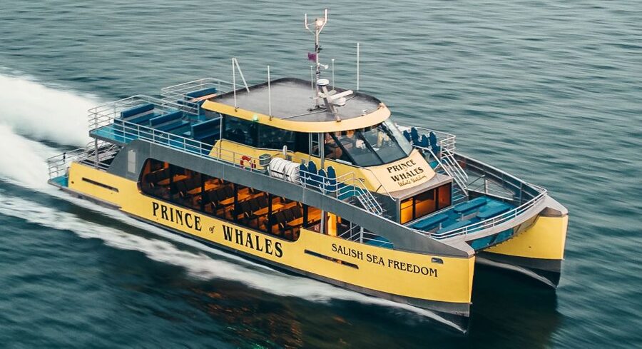 Victoria: Covered Whale Watching Adventure with Free Photos - Is $149 good value?