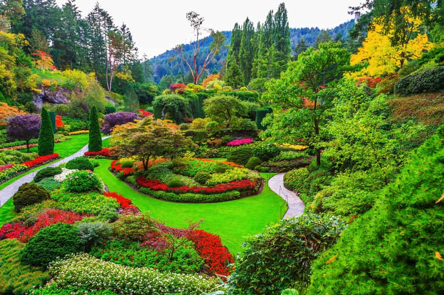 Victoria: Driving Tour w/ Malahat Skywalk & Butchart Gardens - Key points to know before booking